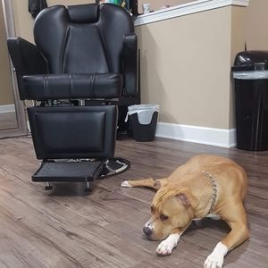 Meet your Posher, Brandon